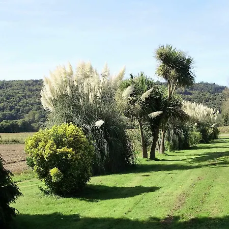 The * Saint-Segal